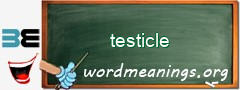 WordMeaning blackboard for testicle